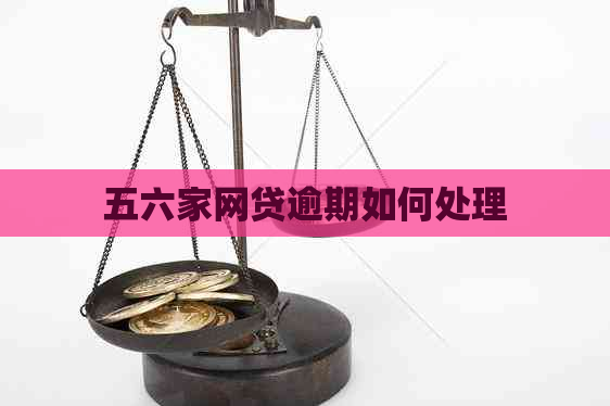 五六家网贷逾期如何处理