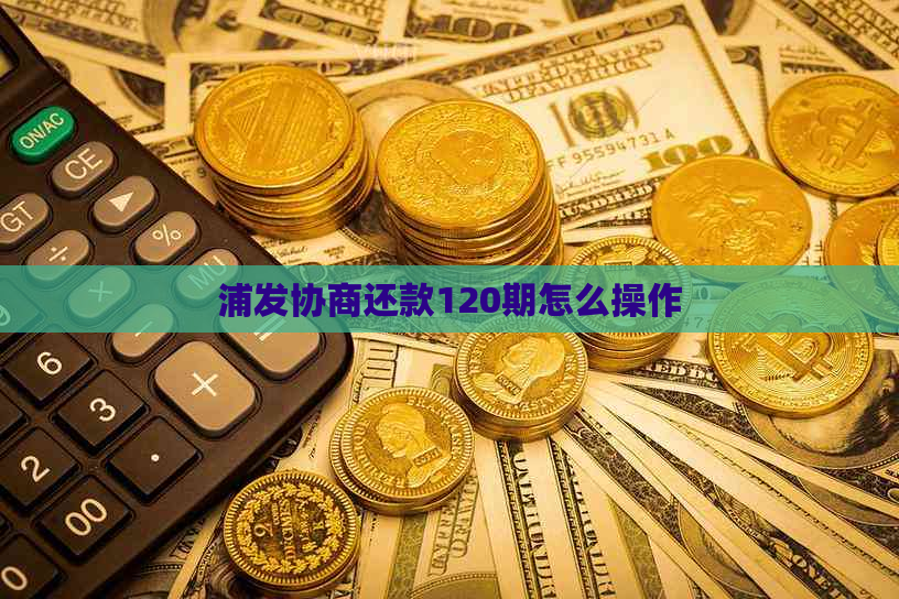 浦发协商还款120期怎么操作