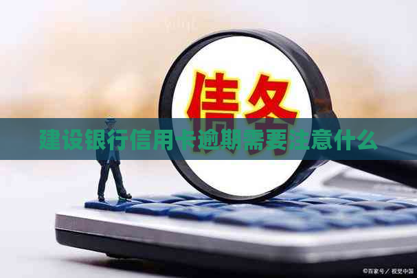 建设银行信用卡逾期需要注意什么