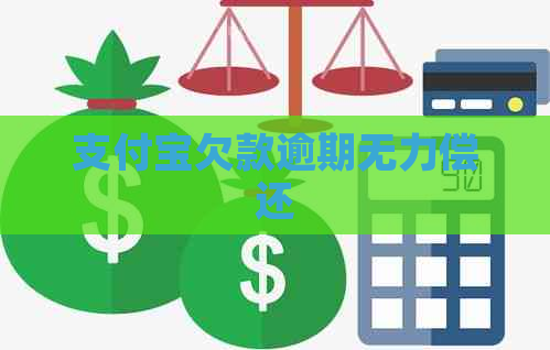 支付宝欠款逾期无力偿还