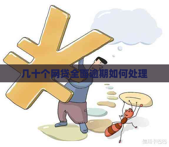 几十个网贷全面逾期如何处理