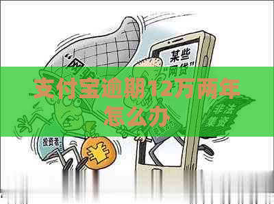 支付宝逾期12万两年怎么办