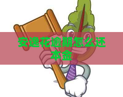 安逸花逾期怎么还本金