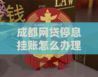 成都网贷停息挂账怎么办理