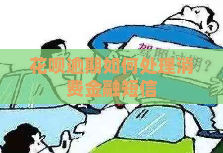 花呗逾期如何处理消费金融短信