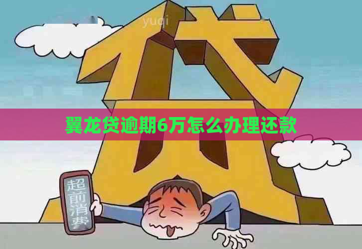 翼龙贷逾期6万怎么办理还款