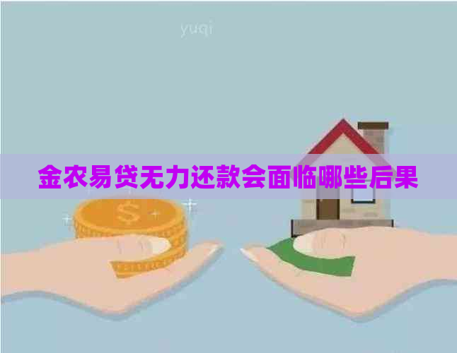 金农易贷无力还款会面临哪些后果