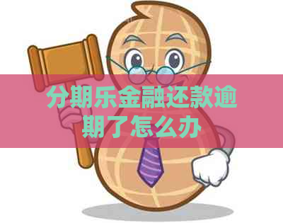 金融还款逾期了怎么办