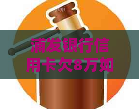 浦发银行信用卡欠8万如何解决