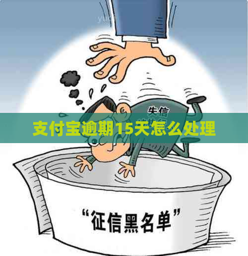 支付宝逾期15天怎么处理