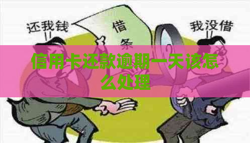 信用卡还款逾期一天该怎么处理