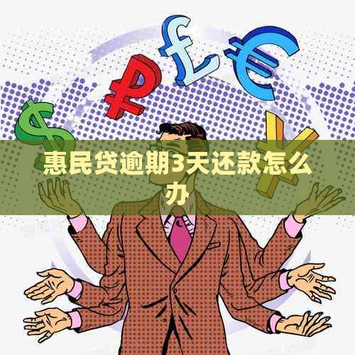 惠民贷逾期3天还款怎么办