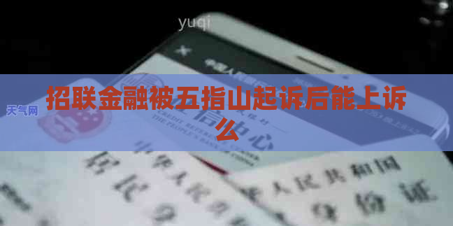 招联金融被五指山起诉后能上诉么