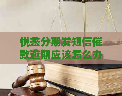 悦鑫分期发短信催款逾期应该怎么办