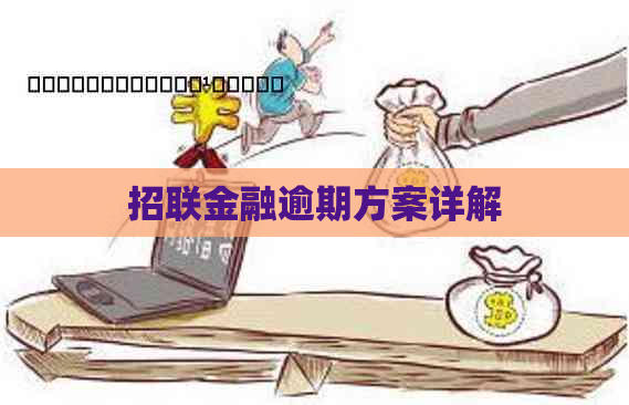 招联金融逾期方案详解