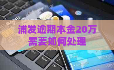 浦发逾期本金20万需要如何处理