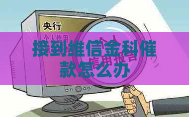 接到维信金科催款怎么办