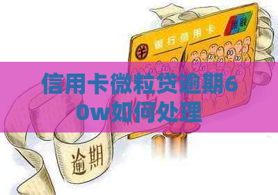 信用卡微粒贷逾期60w如何处理