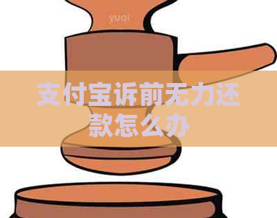 支付宝诉前无力还款怎么办