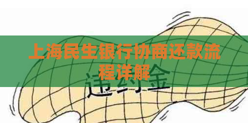 上海民生银行协商还款流程详解