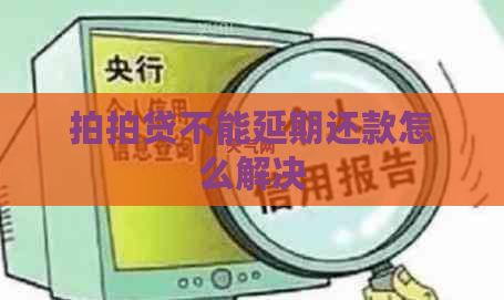 不能延期还款怎么解决