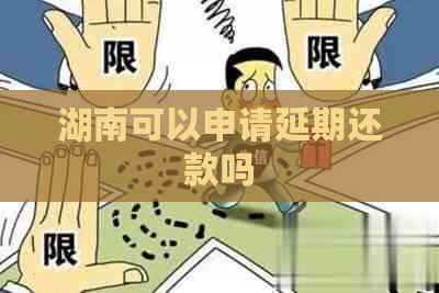 湖南可以申请延期还款吗