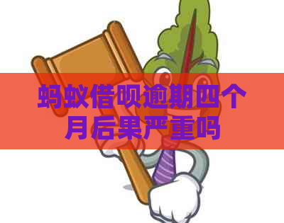 蚂蚁借呗逾期四个月后果严重吗