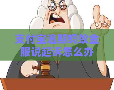 支付宝逾期蚂蚁金服说起诉怎么办