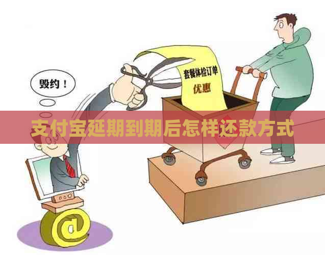 支付宝延期到期后怎样还款方式