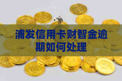 浦发信用卡财智金逾期如何处理