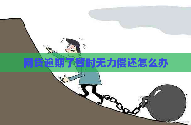 网贷逾期了暂时无力偿还怎么办