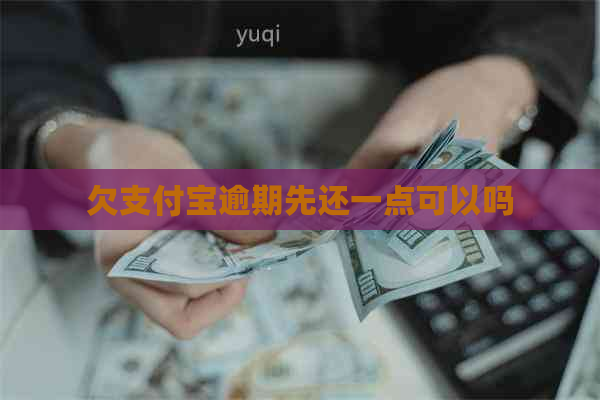 欠支付宝逾期先还一点可以吗