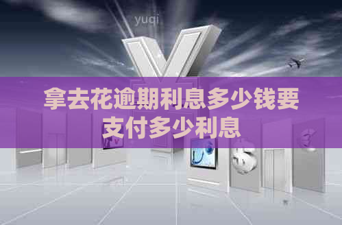 拿去花逾期利息多少钱要支付多少利息