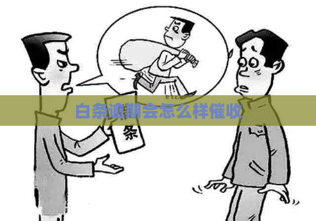 白条逾期会怎么样