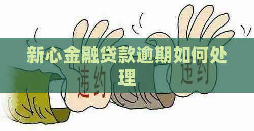 新心金融贷款逾期如何处理