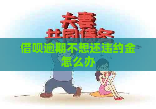 借呗逾期不想还违约金怎么办