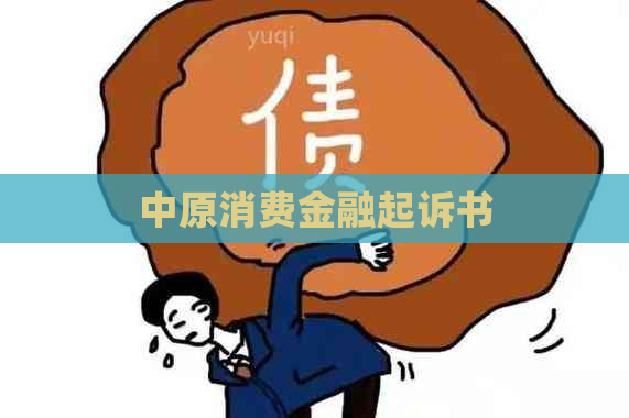 中原消费金融起诉书