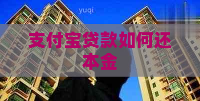 支付宝贷款如何还本金