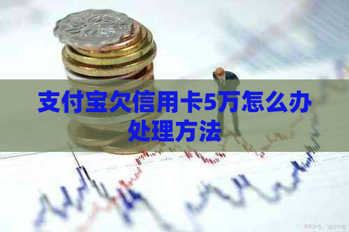 支付宝欠信用卡5万怎么办处理方法