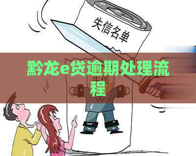 黔龙e贷逾期处理流程