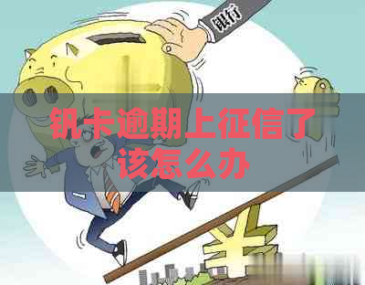 钒卡逾期上了该怎么办