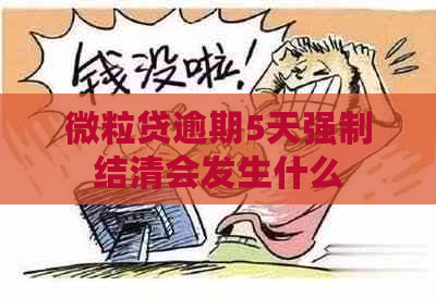 微粒贷逾期5天强制结清会发生什么