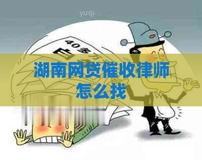 湖南网贷律师怎么找