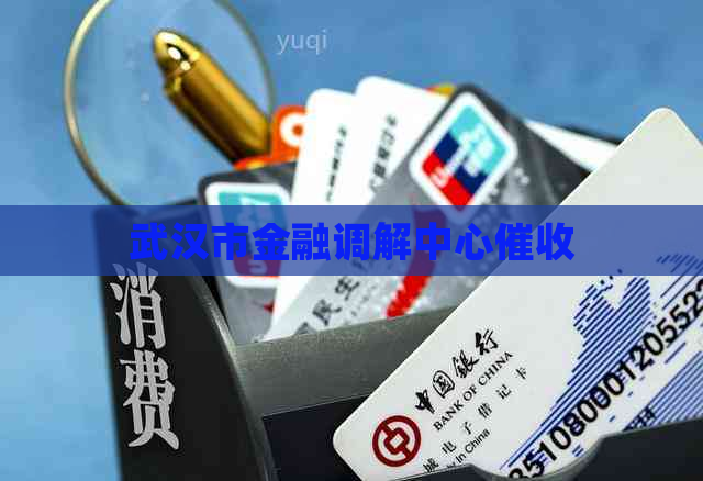 武汉市金融调解中心