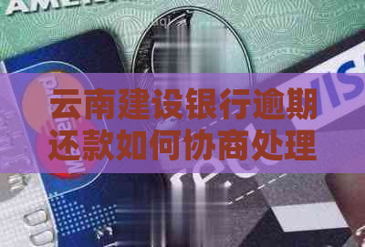 云南建设银行逾期还款如何协商处理