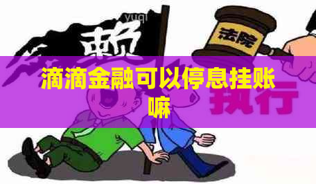 滴滴金融可以停息挂账嘛