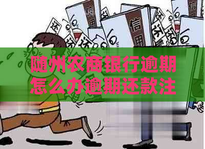 随州农商银行逾期怎么办逾期还款注意事项