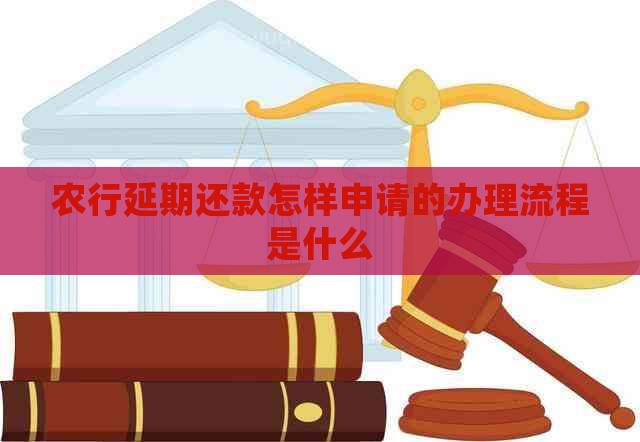 农行延期还款怎样申请的办理流程是什么