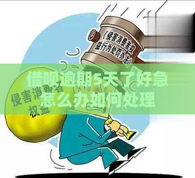 借呗逾期5天了好急怎么办如何处理