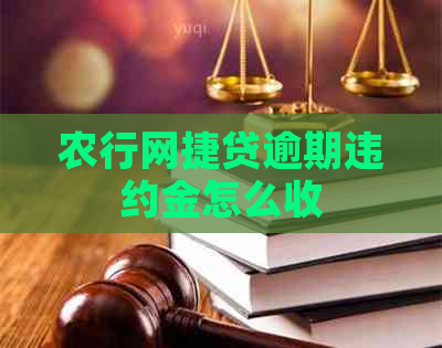 农行网捷贷逾期违约金怎么收